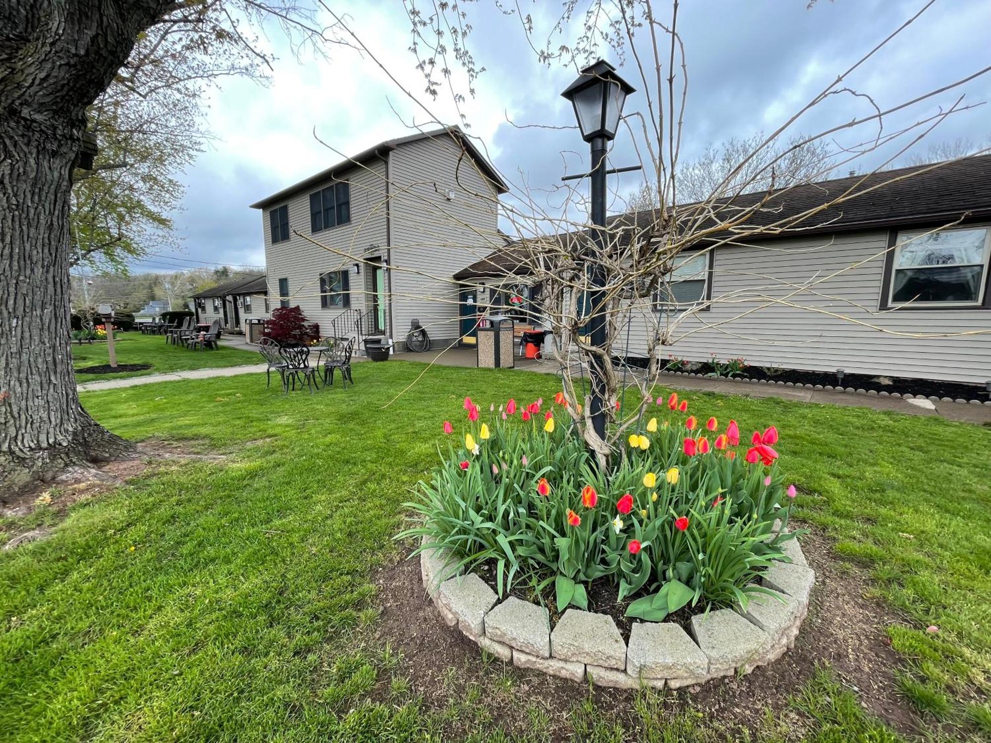 Riverside Motel Lewiston Bagian luar foto